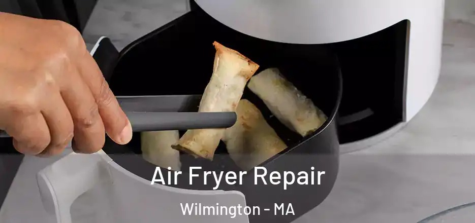 Air Fryer Repair Wilmington - MA