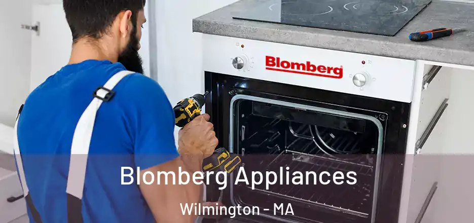 Blomberg Appliances Wilmington - MA