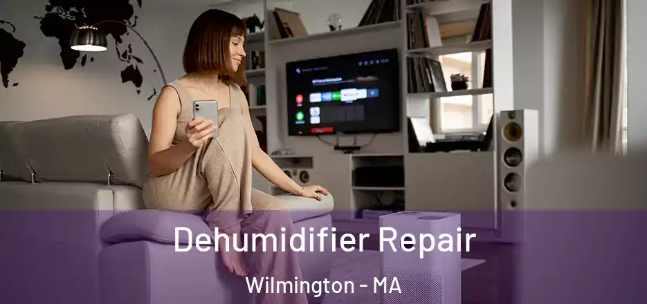 Dehumidifier Repair Wilmington - MA