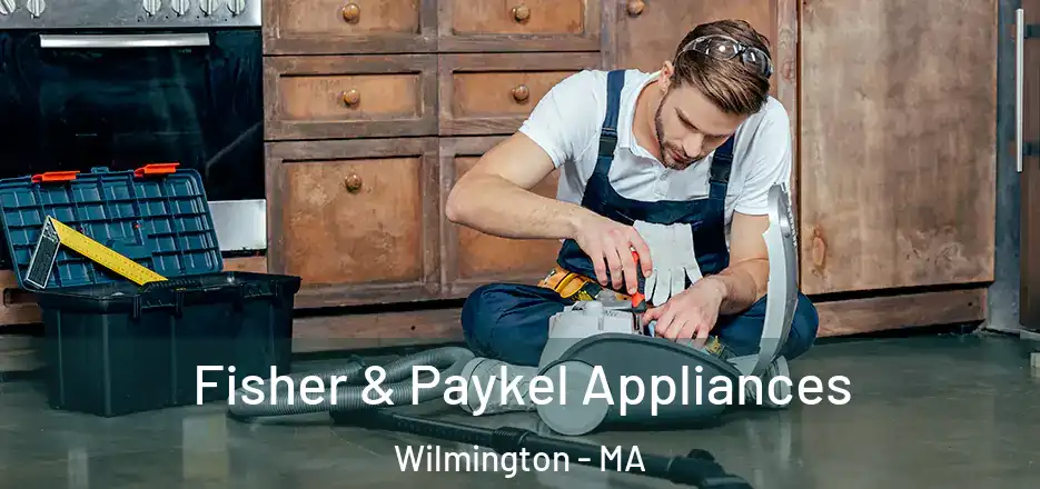  Fisher & Paykel Appliances Wilmington - MA