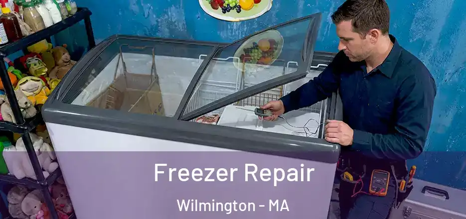 Freezer Repair Wilmington - MA