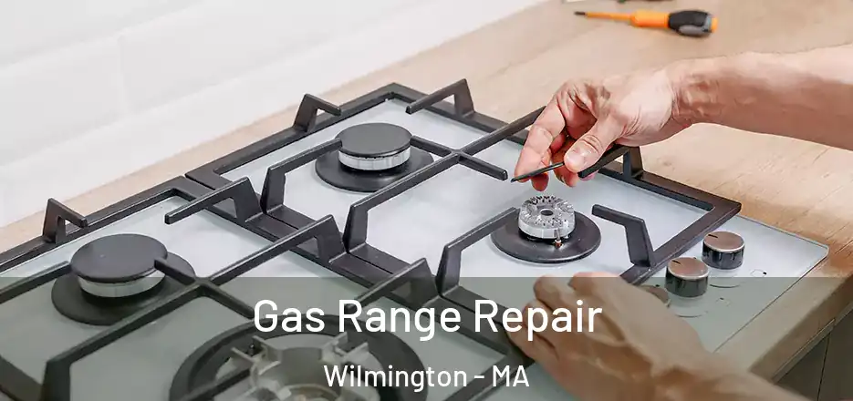 Gas Range Repair Wilmington - MA