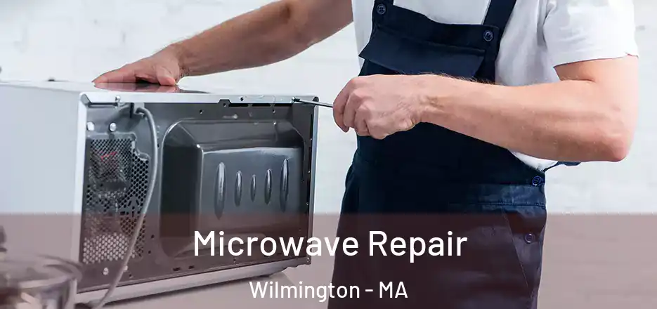 Microwave Repair Wilmington - MA