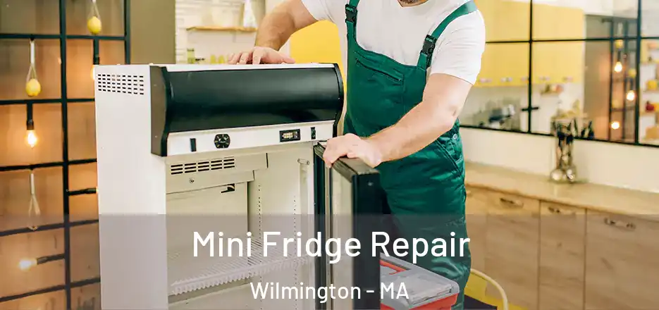 Mini Fridge Repair Wilmington - MA