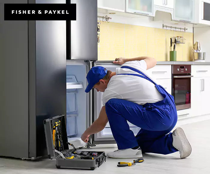 Top-Rated Fisher & Paykel Appliance Experts: Your Brand Specialist in Wilmington, MA